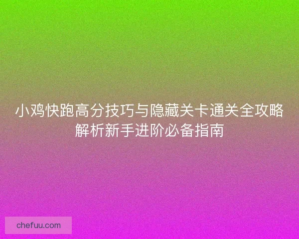 小鸡快跑高分技巧与隐藏关卡通关全攻略解析新手进阶必备指南