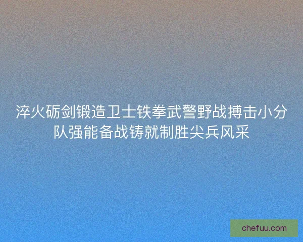 淬火砺剑锻造卫士铁拳武警野战搏击小分队强能备战铸就制胜尖兵风采