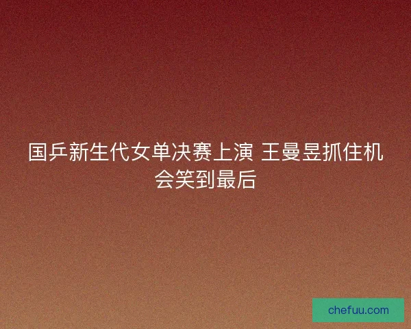 国乒新生代女单决赛上演 王曼昱抓住机会笑到最后